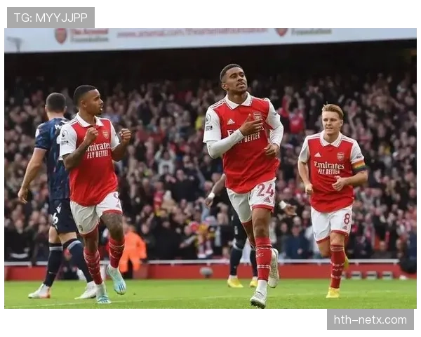 富勒姆剑指英超前六，誓以新赛季重塑辉煌历史