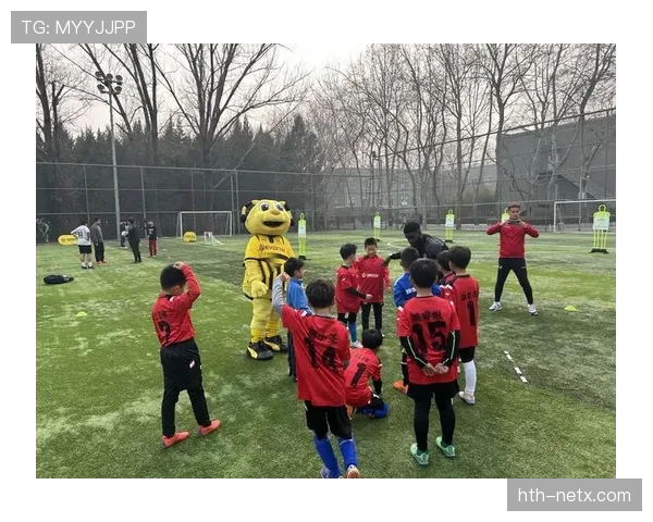 多特蒙德强化青训体系，开启未来竞争力提升新篇章